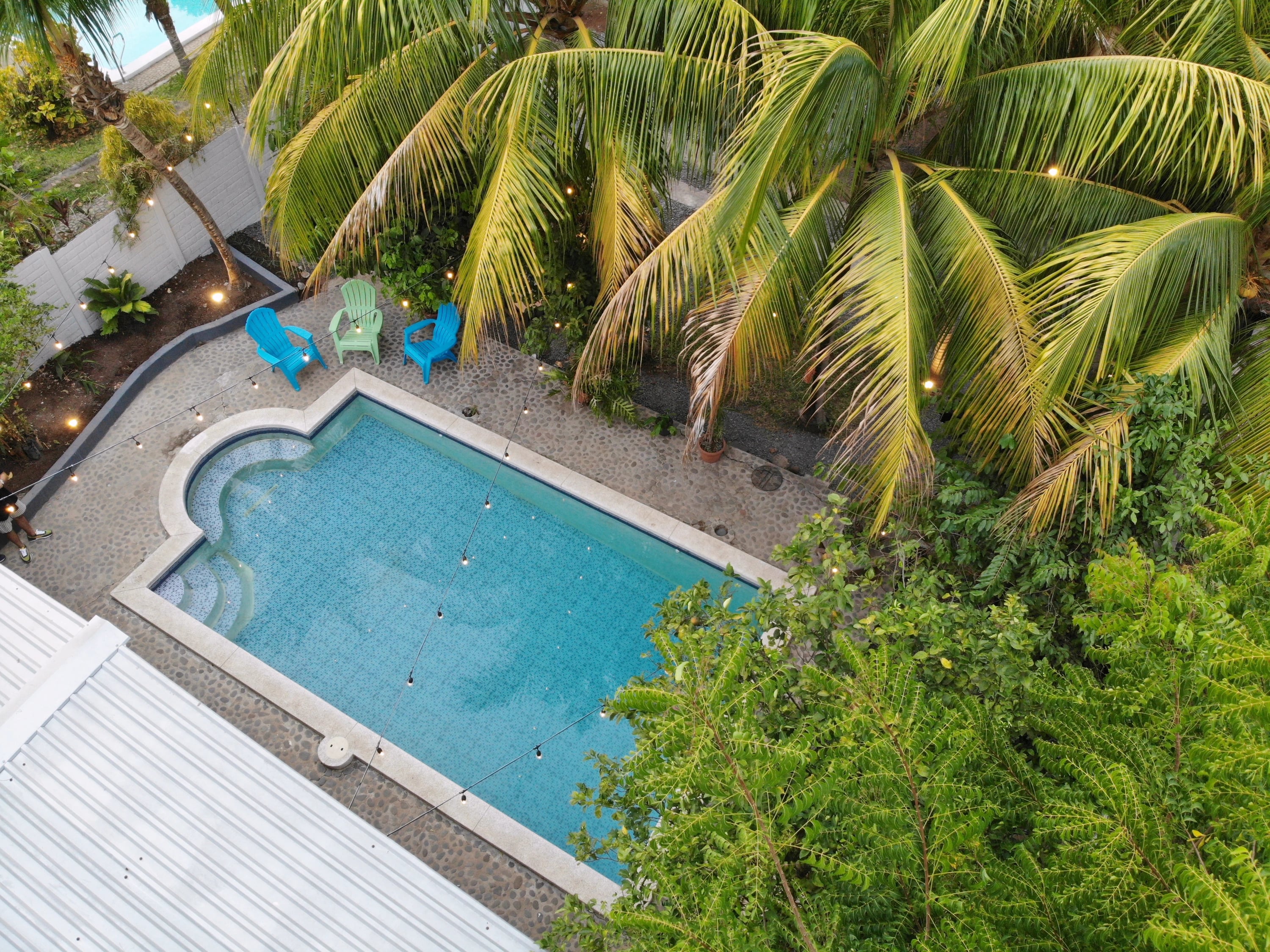 La piscina y las palmeras vistas desde arriba