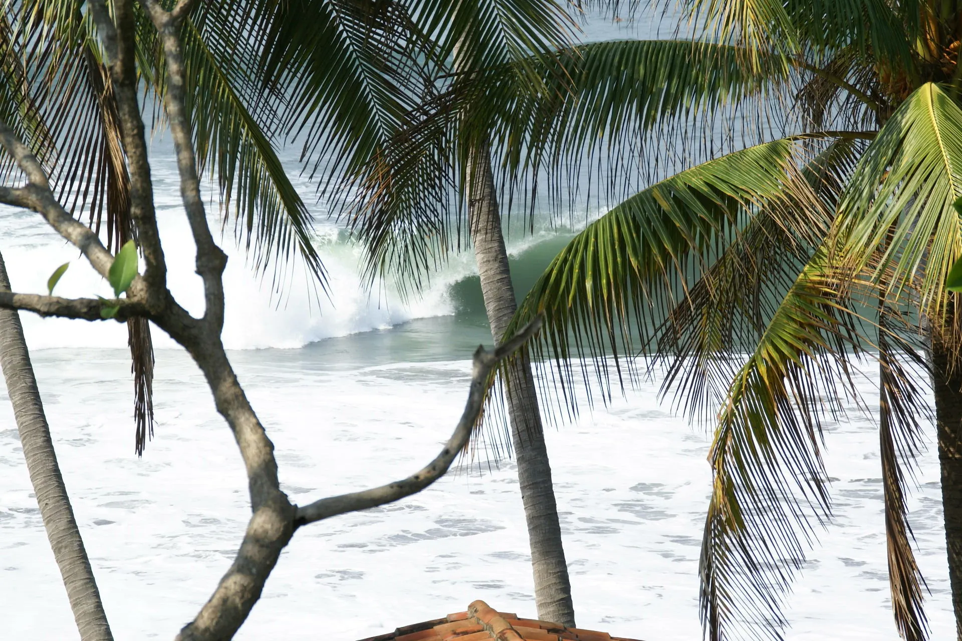Playas y olas