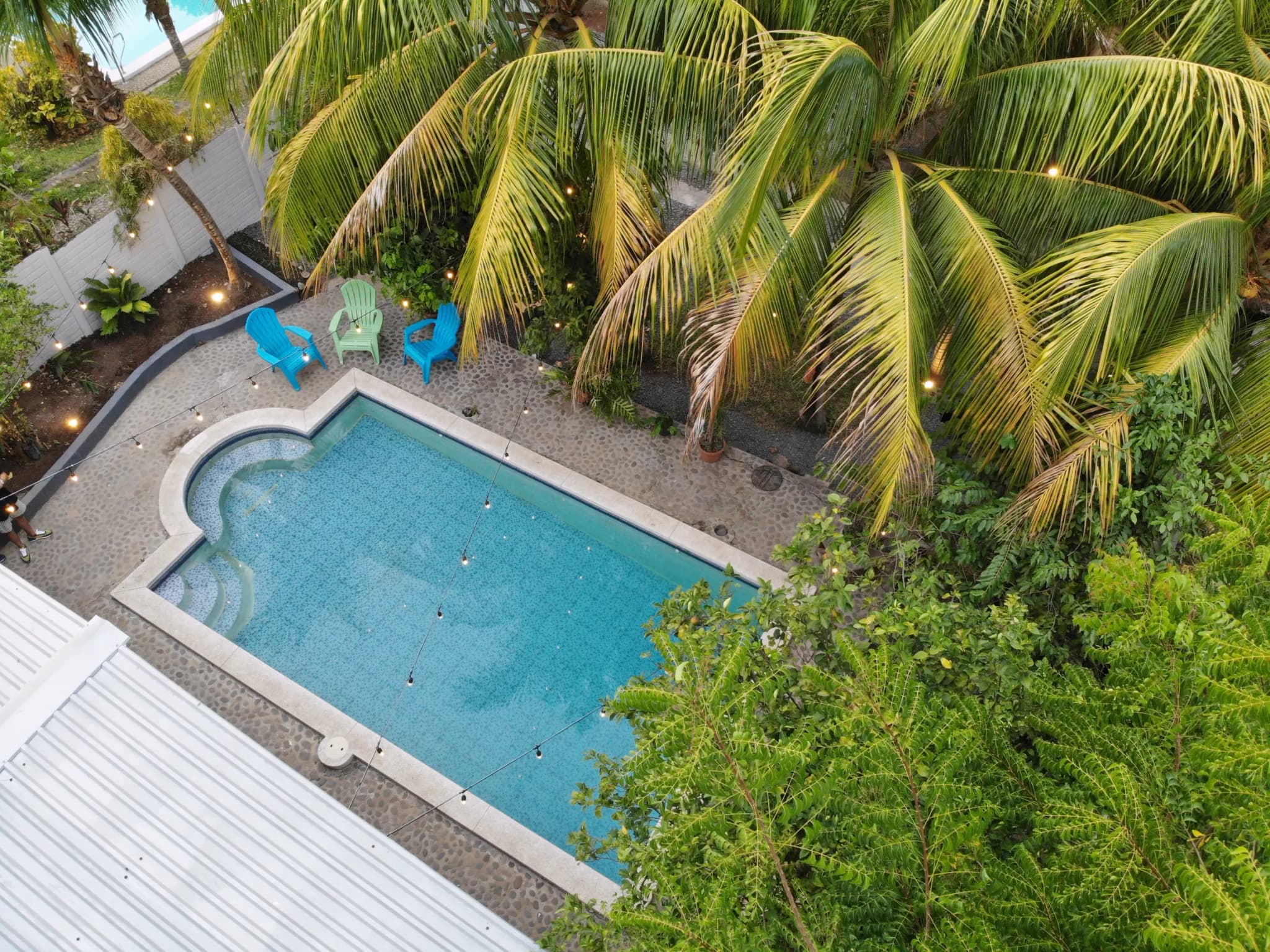 La piscina y las palmeras vistas desde arriba